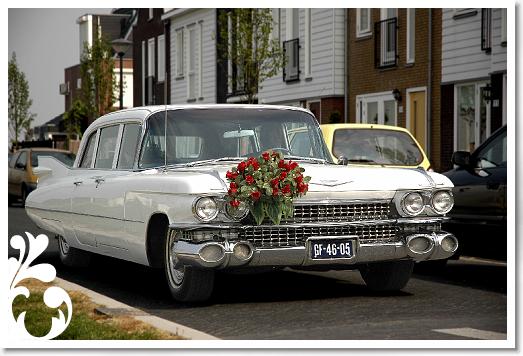DSC_0011 xauto